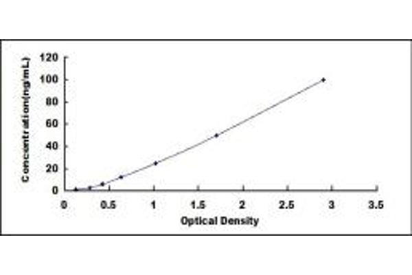 PEPCK ELISA Kit