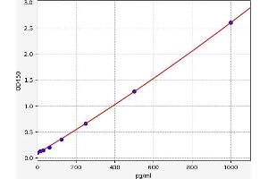 Typical standard curve (FLT3LG ELISA Kit)