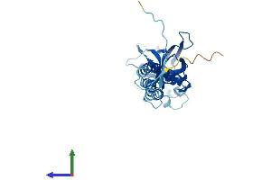 Protein Structure (PS) image for Transmembrane Protein 231 (TMEM231) (AA 1-315) protein (His tag) (ABIN7557133)
