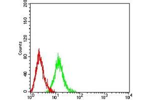 Flow cytometric analysis of HL-60 cells using LILRB5 mouse mAb (green) and negative control (red). (LILRB5 antibody  (AA 24-164))