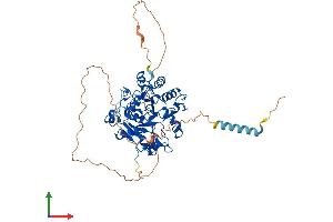 AlphaFold protein structure predicition of Mouse Recombinant St6galnac1 Protein, UniprotID Q9QZ39
