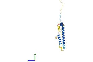 Protein Structure (PS) image for Mediator Complex Subunit 28 (MED28) (AA 1-178) protein (His tag) (ABIN7560172)