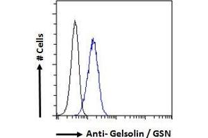 ABIN185735 Flow cytometric analysis of paraformaldehyde fixed HeLa cells (blue line), permeabilized with 0. (Gelsolin antibody  (Internal Region))