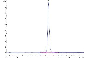 Size-exclusion chromatography-High Pressure Liquid Chromatography (SEC-HPLC) image for TYRO3 Protein Tyrosine Kinase (TYRO3) (AA 41-427) protein (His tag) (ABIN7275812)