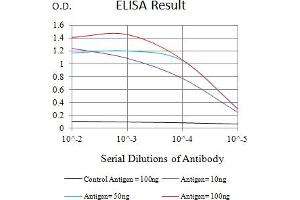 Black line: Control Antigen (100 ng),Purple line: Antigen (10 ng), Blue line: Antigen (50 ng), Red line:Antigen (100 ng) (TNFRSF18 antibody  (AA 184-241))
