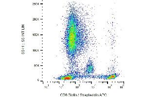 Flow cytometry analysis (surface staining) of human peripheral blood using anti-human CD8 (clone MEM-31) biotin.