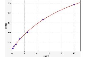 Typical standard curve (SIRT1 ELISA Kit)