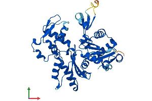 AlphaFold protein structure predicition of Human Recombinant ACTRT3 Protein, UniprotID Q9BYD9 (ARPM1 Protein (AA 1-372) (His tag))