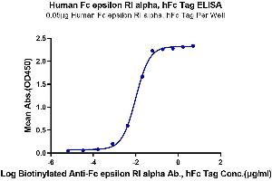 ELISA image for Fc Fragment of IgE Receptor Ia (FCER1A) (AA 26-205) protein (Fc Tag) (ABIN7274608)