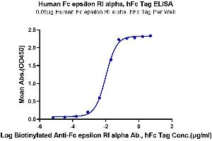 Immobilized Human Fc epsilon RI alpha, hFc Tag at 0. (Fc epsilon RI/FCER1A Protein (AA 26-205) (Fc Tag))