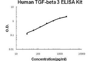 Human TGF-beta 3 PicoKine ELISA Kit standard curve (TGFB3 ELISA Kit)