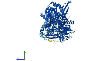 Protein Structure (PS) image for Aldehyde Dehydrogenase 1 Family, Member L1 (ALDH1L1) (AA 1-902) protein (His tag) (ABIN7551967)