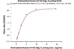 Immobilized Monoclonal A B7-H3 / B7-H3 (4Ig) Antibody, Human IgG1 at 2 μg/mL (100 μL/well) can bind Biotinylated Human B7-H3 (4Ig), Fc,Avitag (ABIN6731234,ABIN6809940) with a linear range of 0. (B7-H3 (4Ig) (AA 27-461) (Active) protein (Fc Tag,AVI tag,Biotin))