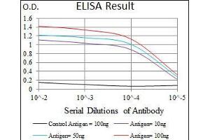ELISA image for anti-T Antigen (AA 257-309) antibody (ABIN1098136)