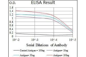 Black line: Control Antigen (100 ng), Purple line: Antigen(10 ng), Blue line: Antigen (50 ng), Red line: Antigen (100 ng), (T Antigen (AA 257-309) antibody)
