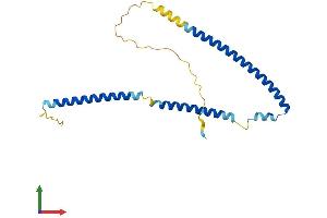 AlphaFold protein structure predicition of Human Recombinant CCDC169 Protein, UniprotID A6NNP5 (CCDC169 Protein (AA 1-214) (His tag))