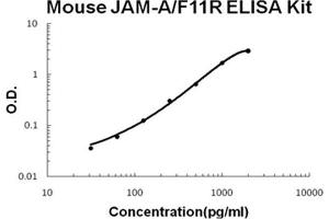 Mouse JAM-A/F11R PicoKine ELISA Kit standard curve