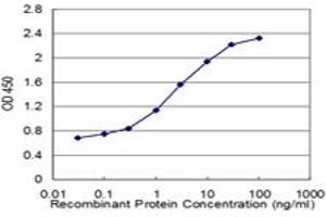 Detection limit for recombinant GST tagged ZIC1 is approximately 0. (ZIC1 antibody  (AA 2-95))