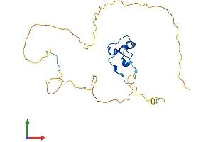 AlphaFold protein structure predicition of Human Recombinant CXXC4 Protein, UniprotID Q9H2H0