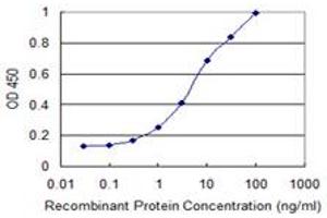 Detection limit for recombinant GST tagged DMRTB1 is 0. (DMRTB1 antibody  (AA 1-189))