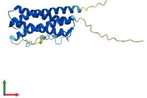 Protein Structure (PS) image for Ciliary Neurotrophic Factor (CNTF) (AA 1-200) protein (His tag) (ABIN7546572)