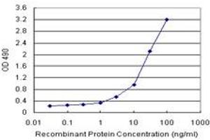 Sandwich ELISA detection sensitivity ranging from 0.