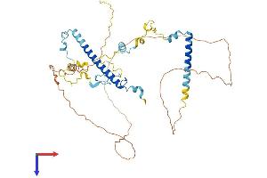 AlphaFold protein structure predicition of Human Recombinant CIR1 Protein, UniprotID Q86X95 (CIR1 Protein (AA 1-450) (His tag))