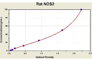 Diagramm of the ELISA kit to detect Rat NOS2with the optical density on the x-axis and the concentration on the y-axis.