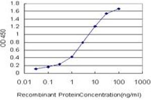 Detection limit for recombinant GST tagged MARCKSL1 is approximately 0. (MARCKSL1 antibody  (AA 107-195))