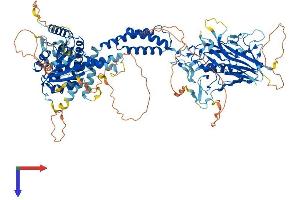 AlphaFold protein structure predicition of Mouse Recombinant Smg8 Protein, UniprotID Q8VE18 (SMG8 Protein (AA 1-991) (His tag))