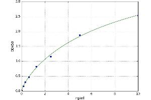 Calreticulin (CALR) ELISA Kit