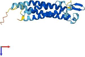 AlphaFold protein structure predicition of Human Recombinant TM4SF5 Protein, UniprotID O14894