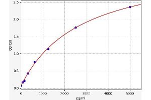 CD74 ELISA Kit