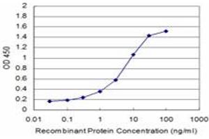 Detection limit for recombinant GST tagged SPP1 is approximately 0. (Osteopontin antibody  (AA 21-129))