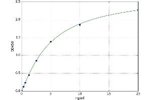 A typical standard curve