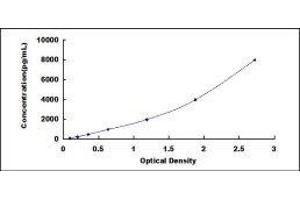 Coagulation Factor V (F5) ELISA Kit