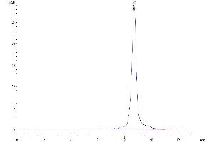 The purity of Human AGER is greater than 95 % as determined by SEC-HPLC. (RAGE Protein (AA 23-344) (His tag))