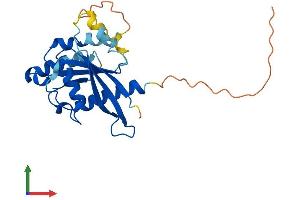 AlphaFold protein structure predicition of Human Recombinant RABL3 Protein, UniprotID Q5HYI8