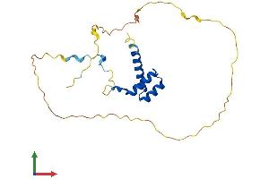 AlphaFold protein structure predicition of Mouse Recombinant Hoxc5 Protein, UniprotID P32043