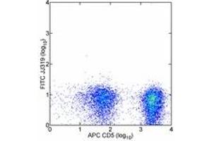 Image no. 2 for anti-CD28 (CD28) antibody (FITC) (ABIN474701) (CD28 antibody  (FITC))