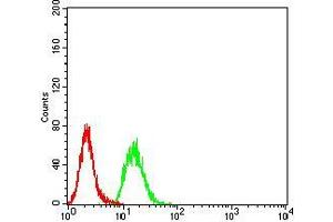 Flow cytometric analysis of Hela cells using ESRRA mouse mAb (green) and negative control (red). (ESRRA antibody  (AA 198-376))