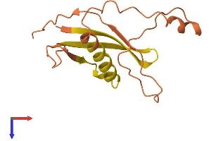 AlphaFold protein structure predicition of Human Recombinant C12orf76 Protein, UniprotID Q8N812 (C12ORF76 Protein (AA 1-135) (His tag))