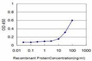 Image no. 3 for anti-CSE1 Chromosome Segregation 1-Like (CSE1L) (AA 872-972) antibody (ABIN465994) (Exportin 2 antibody  (AA 872-972))