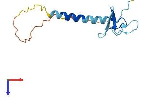 LIM and Senescent Cell Antigen-Like Domains 3 (LIMS3) (AA 1-117) protein (His tag)