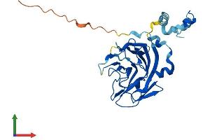 Protein Structure (PS) image for SplA/ryanodine Receptor Domain and SOCS Box Containing 2 (SPSB2) (AA 1-263) protein (His tag) (ABIN7546279)