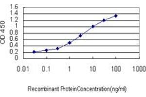 Detection limit for recombinant GST tagged SRGAP1 is approximately 0. (SRGAP1 antibody  (AA 952-1050))