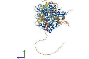 AlphaFold protein structure predicition of Mouse Recombinant Rps6ka4 Protein, UniprotID Q9Z2B9 (MSK2 Protein (AA 1-773) (His tag))