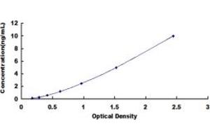 MAST2 ELISA Kit