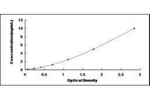 Dystroglycan 1 (DAG1) ELISA Kit