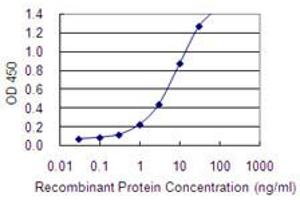 EML2 antibody  (AA 1-427)